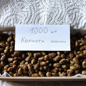 1000 шт коконів осмії Корнута
